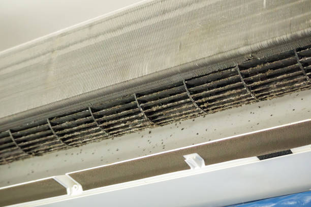 Best HVAC Air Duct Cleaning  in Edgewood, TX